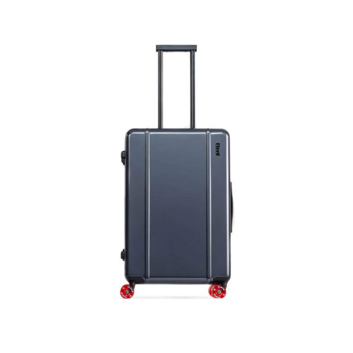 PO Floyd : Check in Luggage 61L